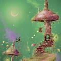 The Mushroom Gatherer